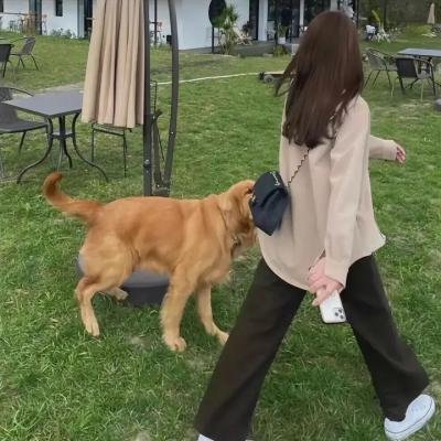 正义守护者